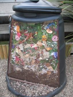 fruit peels, vegetable scraps, egg shells, and coffee grounds as well as shredded newspaper or cardboard (worm bedding!