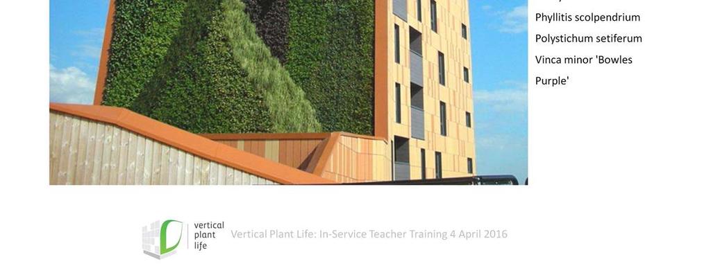 The vertical part of the wall was planted with a variety of plants to make a visual impact. I don t know that the same plants would have been chosen in today s design climate.