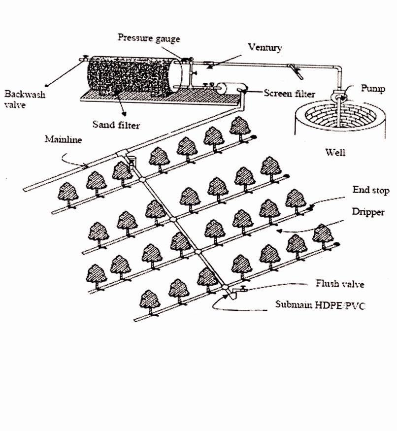 43 required by surface irrigation. Basic equipment for irrigation consists of a pump, a main line, delivery pipes, manifold, and drip tape laterals or emitters as shown in figure 15: