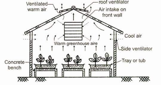 4 employ natural ventilation only. The plant response to specific environment factor is related to the physiological processes and hence the latter affects the yield and quality.