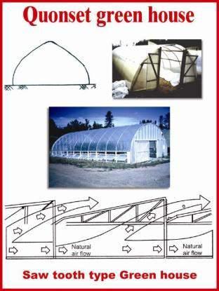 The cost of an even-span greenhouse is more than the cost of a lean-to type, but it has greater flexibility in design and provides for more plants.