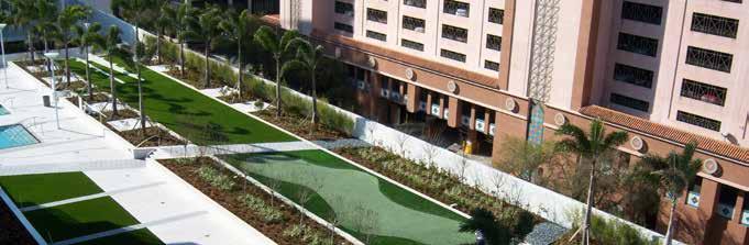 GREEN ROOFS & BALCONIES Whether your goal is to attain a platinum LEED rating or maximize