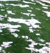 Provides a consistent artificial grass surface for superior all-around performance Minimizes abrasions,