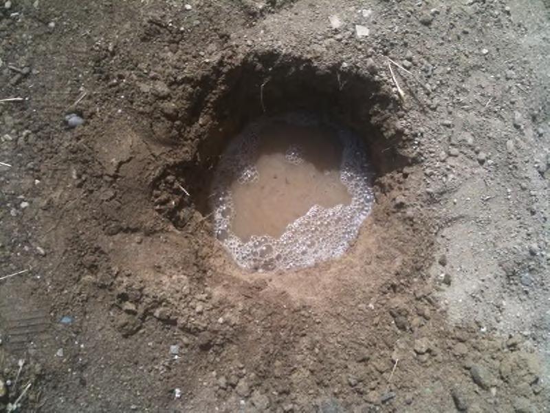 Drainage (perc) test Dig a hole a foot deep. Fill with water and allow water to drain. Fill again and measure depth.