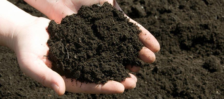 Amending Soil Most garden and landscape plants perform best in soils high in organic matter.