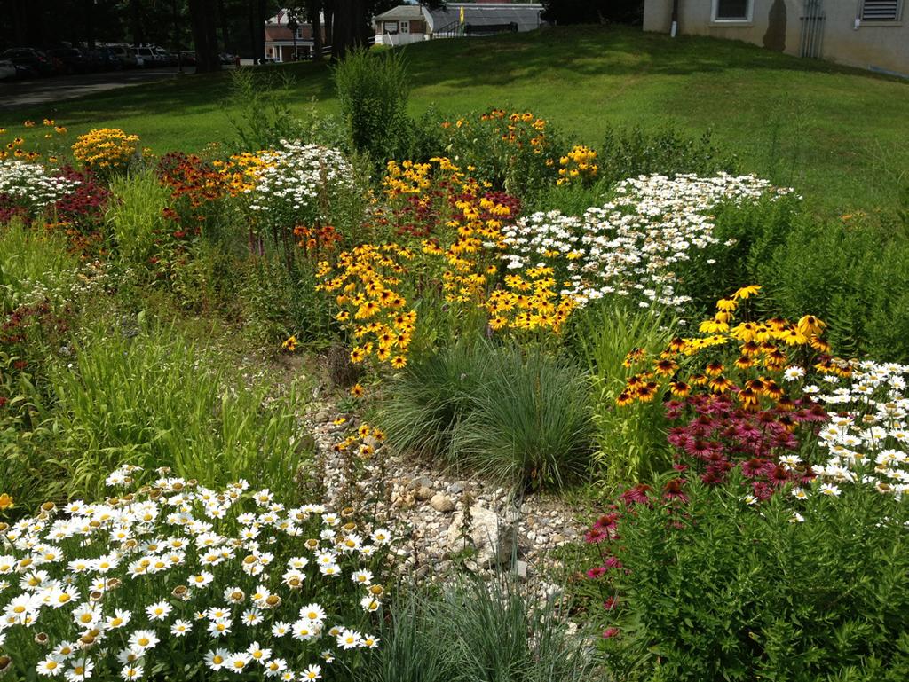 If used in conjunction with parking lots or roadways, bioretention facilities should be designed to make for easy movement of plows.