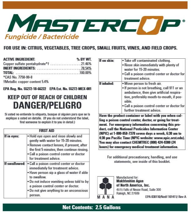 Copper products MasterCop: Copper sulfate pentahydrate 5.4% MCE Bloom rate + 1-3 lbs.