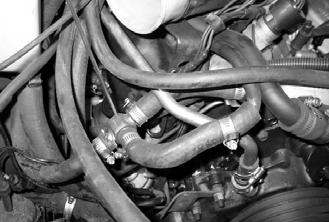tube, hoses and water pump.