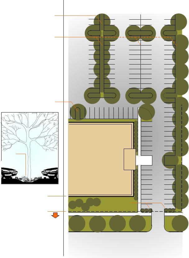 Green Parking Area Design Criteria Section 4 Trees planted 40 on center In an attempt to mitigate pollution associated with storm water run-off from parking areas, rain gardens or bioswales are