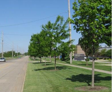 O.W. Guidelines. R.1 Maintain a continuous planting of street trees between the street and sidewalk. Each street will have similar grouping of trees (form and height) spaced at 40 on center. R.2 New and existing utilities to be designed shall be placed underground.