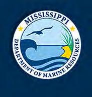 ALTERNATIVE SHORELINE MANAGEMENT IN COASTAL MISSISSIPPI Project supported via financial assistance provided by the Coastal Zone Management Act of 1972, as amended,