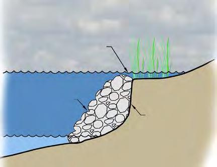 HYBRID SHORELINES Mean High Water Rock Marsh Plantings Angle of Repose Filter Fabric Rock Note: Overtopping Wave Energy Dissipated by Native Plants