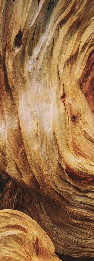 Novedades 2017 MADERA NATURAL 7 natural wood Un material indudablemente humano, dúctil y cálido.