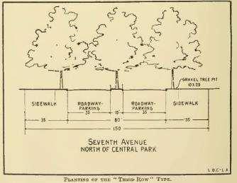 either side parking originally referred to trees and paths along streets 1910-20 s