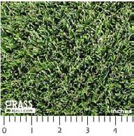 rate and drought tolerance, buffalograss requires less water than other turfgrasses. Buffalograss does not tolerate shade and needs full sun.