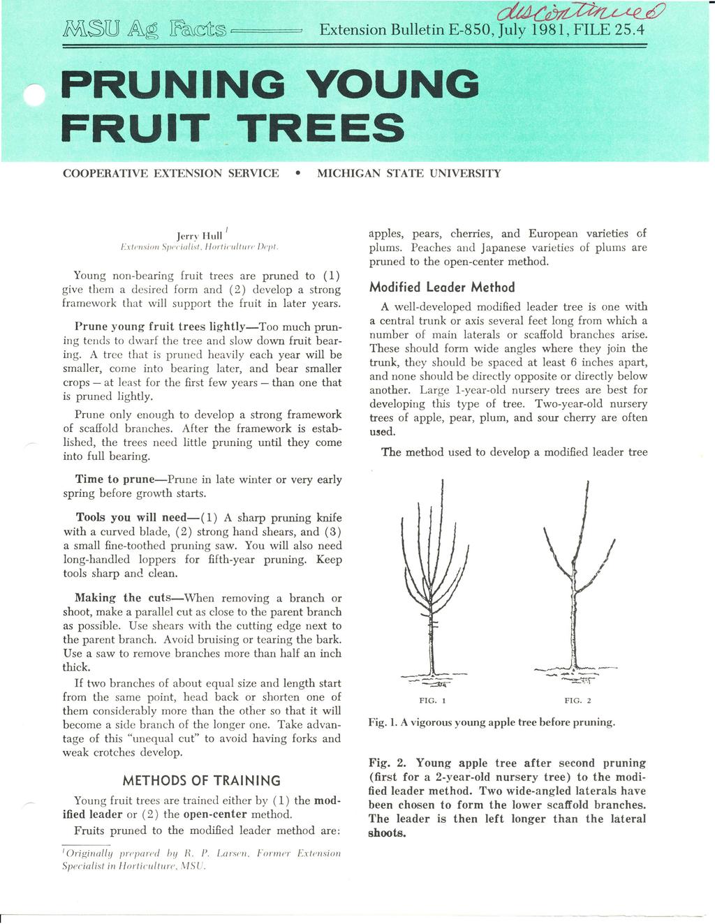 ~~1f) Extension Bulletin E-850, July 1981, FILE 25.4 PRUNING YOUNG FRUIT _ TREES COOPERATIVE EXTENSION SERVICE MICHIGAN STATE UNIVERSITY J Jerry Hull I :x/ell sio ll Sl }('c iulis/.