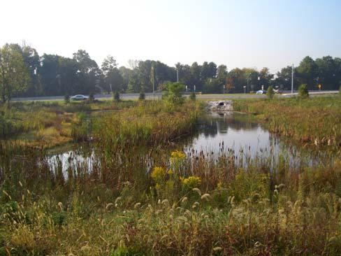 Bioretention is an alternative stormwater management practice that uses a soil matrix and landscaping to filter stormwater pollutants and, where possible, infiltrate into the underlying soils.