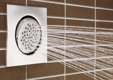 showering experience. Featured on most Moen rainshower showerheads, Immersion channels water through a spoke design in the showerhead cavity.