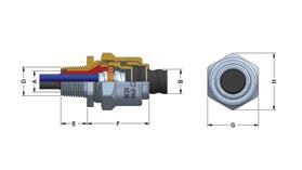 Barr-CZ Explosion Proof Gland (424NB series) SUITABLE FOR MC ARMORED CABLES (CLASS I, DIV 2 LOCATIONS) Features and benefits: Fast, easy installation Large sealing range Space and weight savings