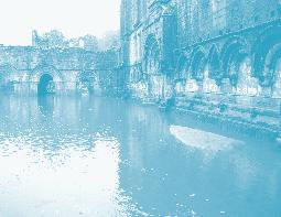 The recent Inland Flood Risk Assessment for the abbey ruins (2013) carried out by English Heritage identified the area as high risk.