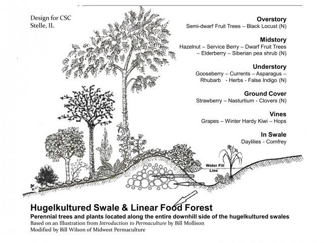 Examples of Berms and Swales Credit: 1https://www.google.com/imgres?imgurl=https%3A%2F%2Fmidwestpermaculture.