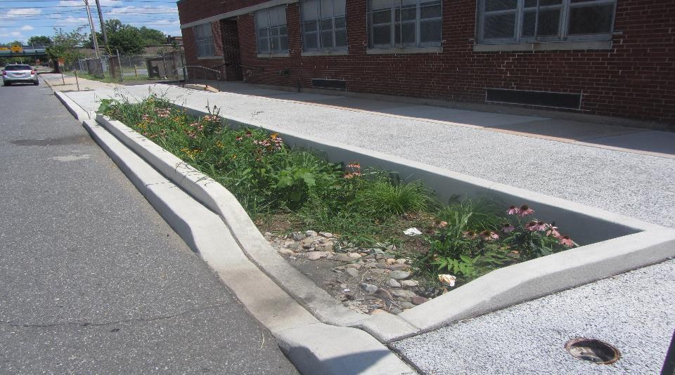 Stormwater Planter at the Brimm