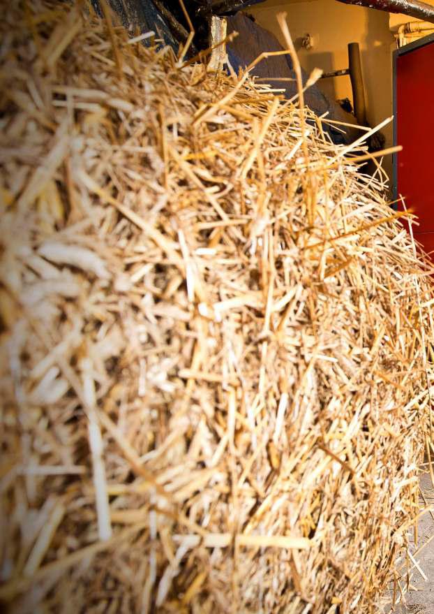 how it works? STRAW AND OTHER BIOMASS PROCESS VISUALIZATION Biomass is the oldest and nowadays most widely used renewable source of energy. One of the most popular types of biomass is straw.