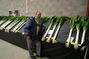 Leek Production Planting practices depend on market preference for