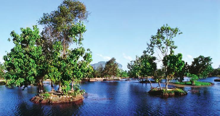 MESSAGE Melati Lake in Perlis.
