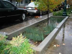 Bay Stormwater