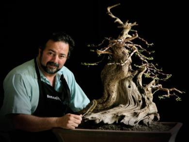 Four days of intensive instruction, lecture, videos, and hands-on work with world renowned Bonsai artist Pedro Morales. Just bring your tools and wire.