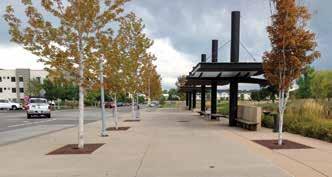 The Downtown Lakewood Transit Center, located on Allison Parkway in Lakewood City Commons, is served by Routes 1, 3, 11, 14, 26 and 76 and there are roughly 1800 boarding and alightings per day at