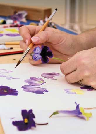 Creative Creative Beginner s Botanical Watercolour Painting Two-day course: Saturday 3 and Sunday 4 February 10am to 4pm Tutor: Billy Showell Get started with watercolours on this two-day workshop