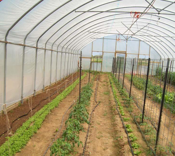 Production in your hoop house Soil fertility Bed preparation Crops and crop