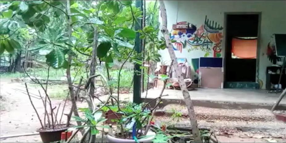 These design videos were recorded in the fall of 2015 at Magic house permaculture site in Auroville, India, www.magichouse.farm.