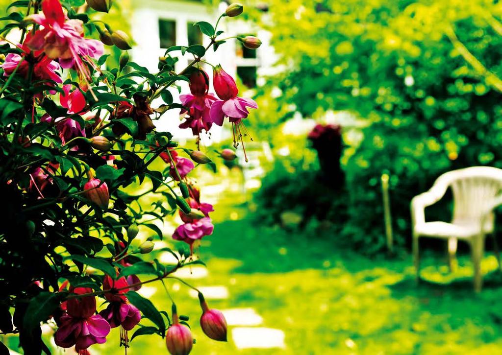 This allows you to enjoy a more attractive garden as well as a longer flowering season.