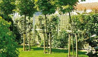The galvanized steel frame can serve as a trellis for climbing plants, enabling you to create a pleasant, colourful garden environment.
