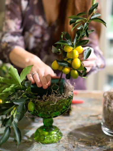 Start your arrangement by adding greenery, The purpose of the greenery is to hide the