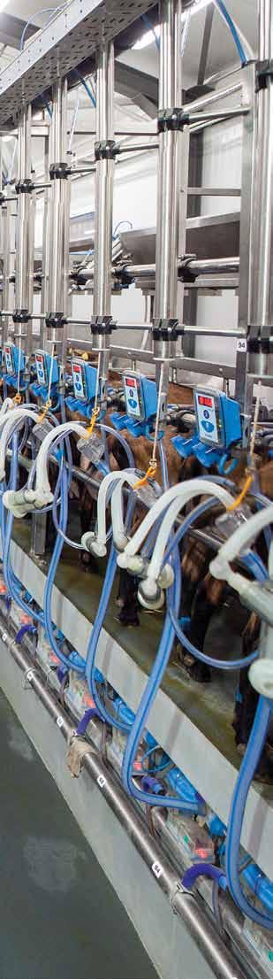 MILKING SYSTEMS FOR SHEEP & GOATS MP Armektron F4A (Fast 4 All) Washing System MP Armektron 2to1 Pulse & Wash Electronic