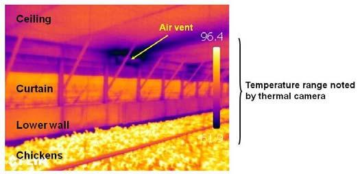 Figure 1.16 Thermal image of a sidewall curtain insulated with bubble wrap Insulation of broiler houses should provide a minimum thermal resistance (R-value) of R8 in exposed walls.