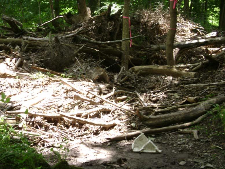 Photo 2: Area WB in 2007, debris pile in the