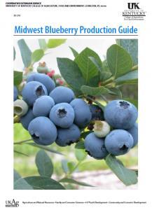 Midwest Blueberry Production Available as a free download at: http://www2.ca.uky.e du/agc/pubs/id/id210 /ID210.
