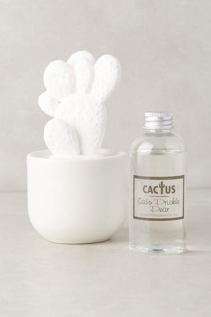 showcases the use of cacti in the latest design