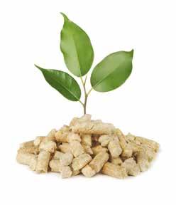 Pellets Fuel pellets are a biofuel that is often made from sawdust or wood shavings.