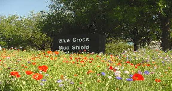 Today, Richardson enjoys the spring and summer wildflower programs.