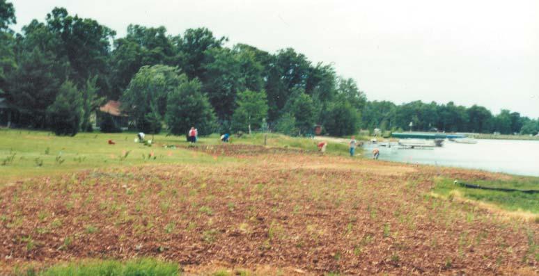 There are also beds planted with prairie and woodland flowers common to dry sites in Burnett County.