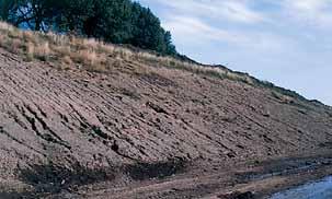The need for erosion control Soil erosion most often results from human intervention on the environment.
