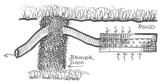 Beaver Baffle A baffle system is a drain for the dam itself, creating an outlet for water straight