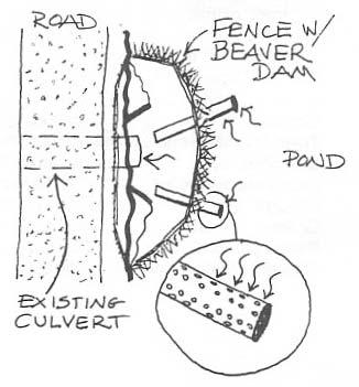 Build A Fence Build a horseshoe shaped fence (heavy gauge wire) around the upstream side of a