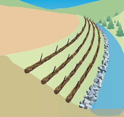 Protecting Stream Channels, Wetlands, and Lakes Live willow or hardwood stakes driven through live wattles or rolls, trenched into slope, provide excellent stream bank protection.